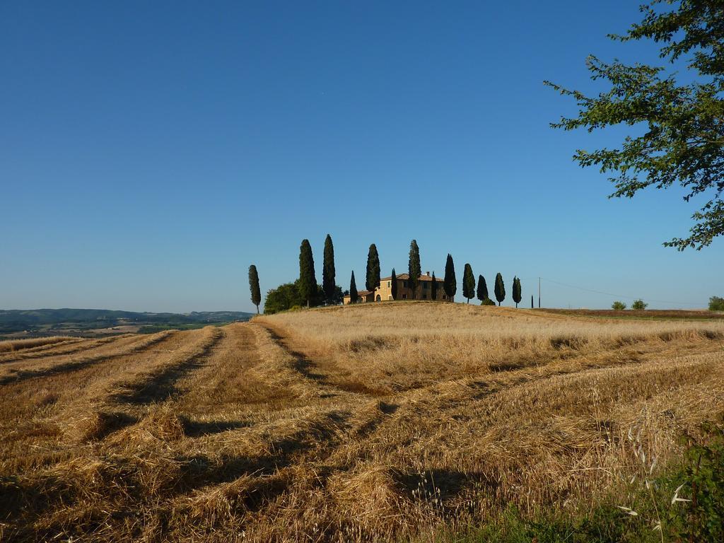 Camere Andrei Pienza Luaran gambar