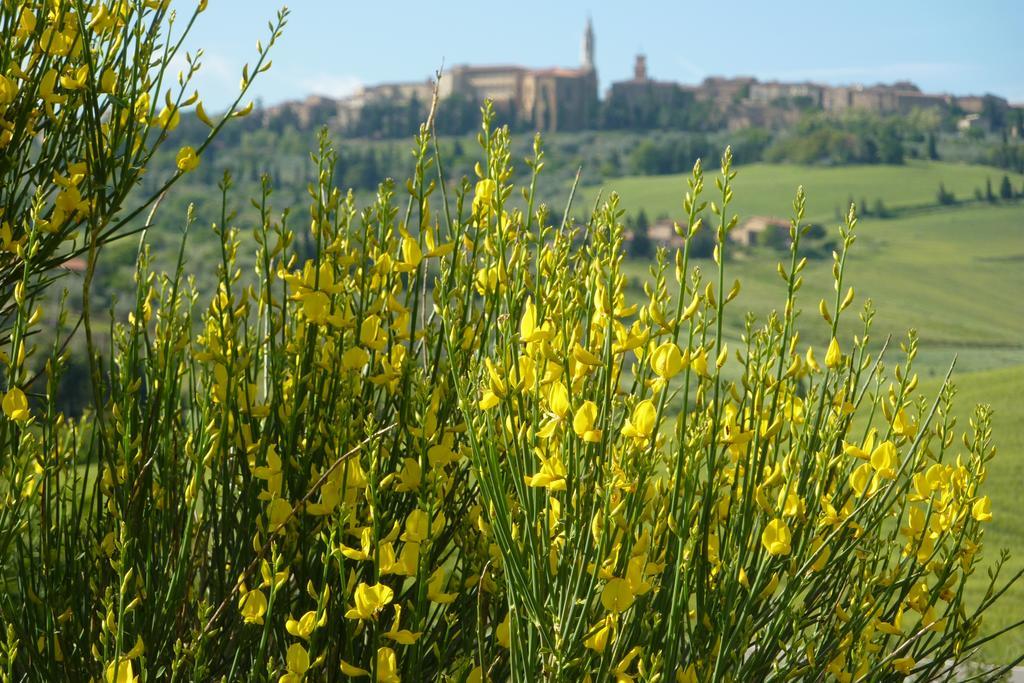 Camere Andrei Pienza Luaran gambar